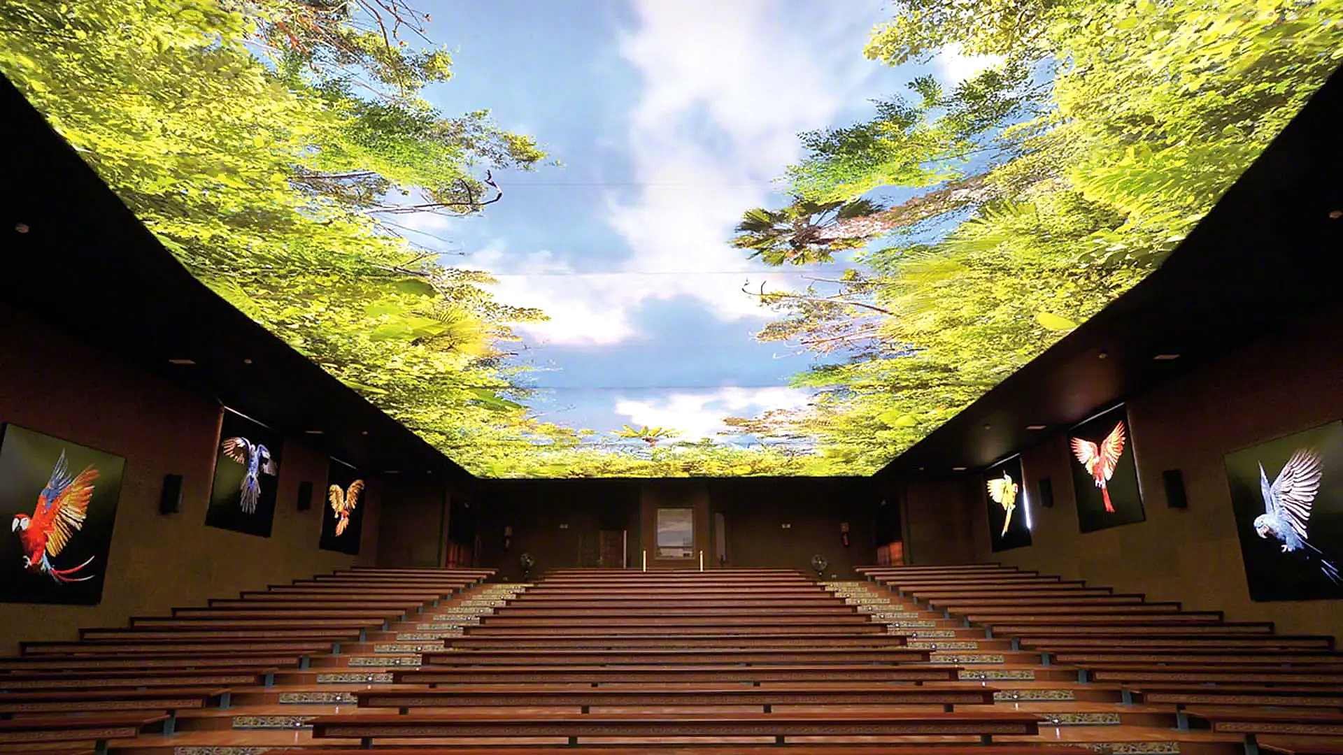 Gergi Tavan - MT LED